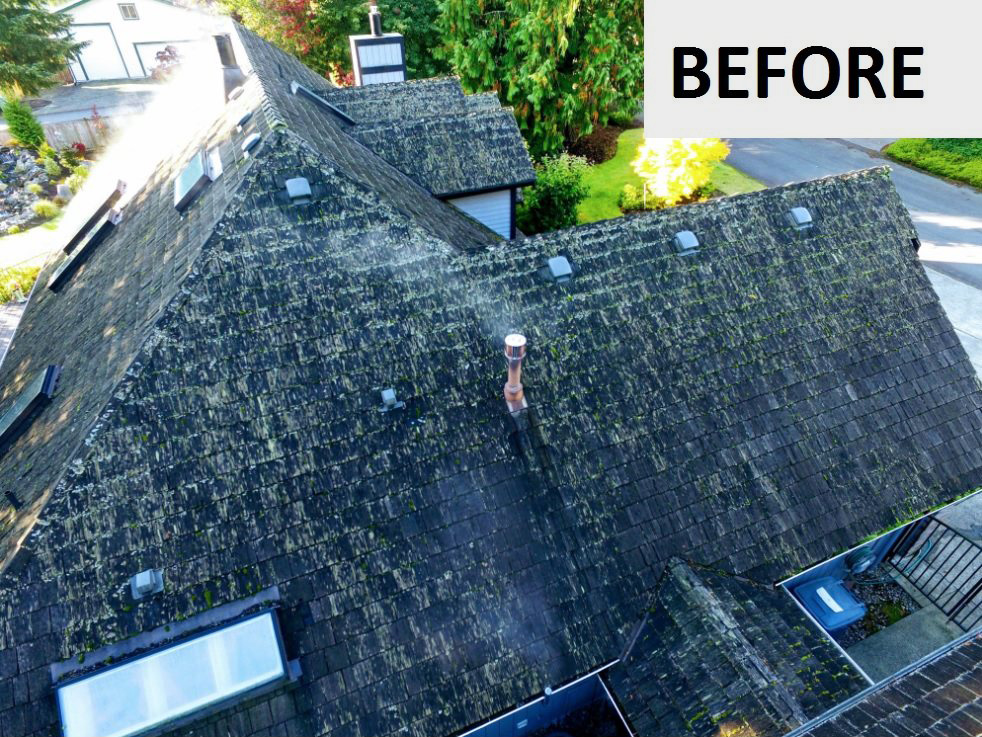 old roof before being reroofed with new shingles