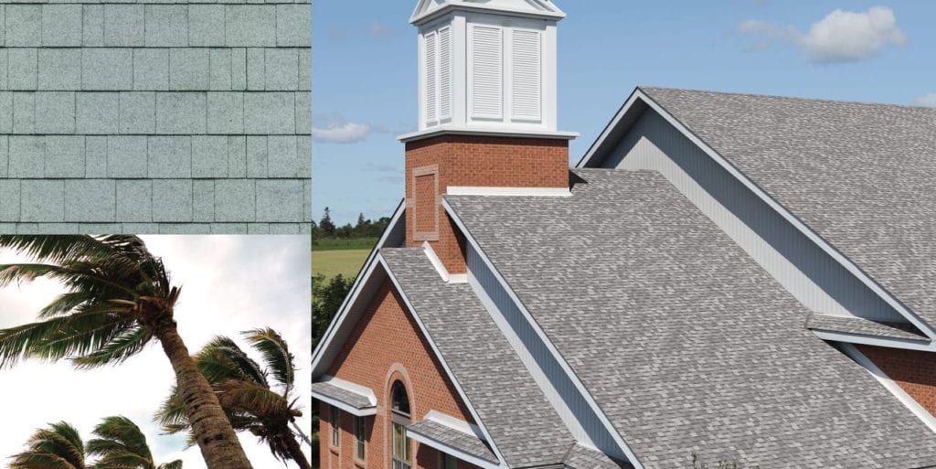 montage of a building, shingles, and palm trees