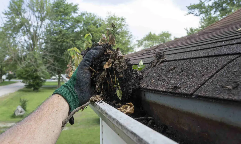 cleaning clogged gutters