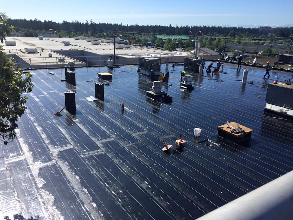 team of residential and commercial roofers working on a commercial flat roof