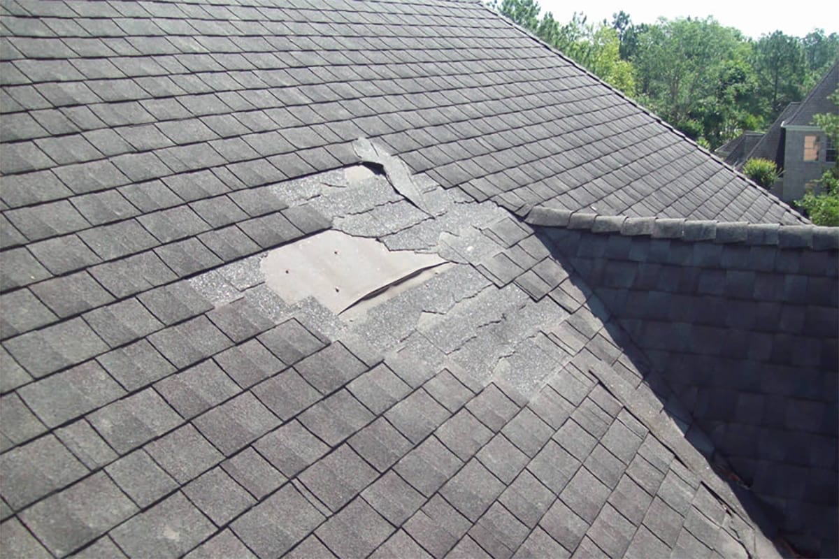 montage of nailing shingles, a gutter, and a man pruning a tree