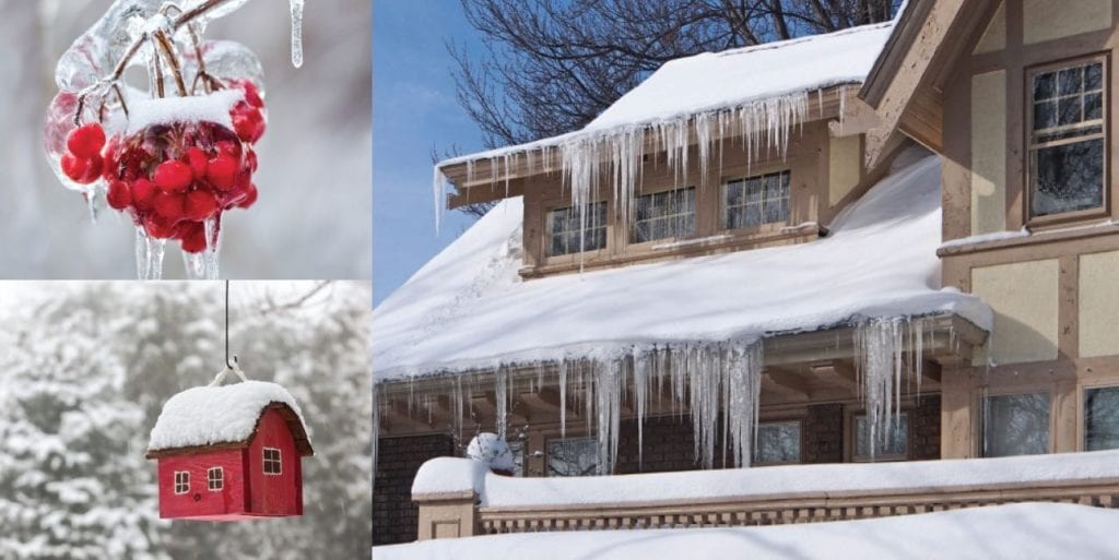 montage of icicled roof, birdhouse and winter berries