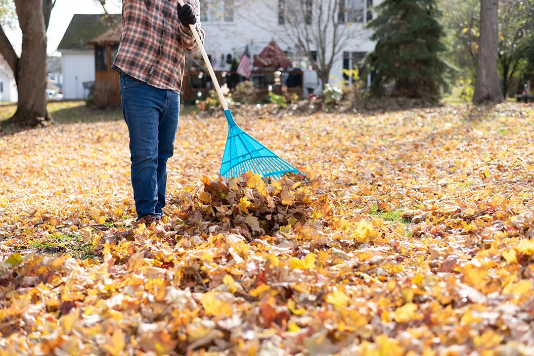 fall maintenance