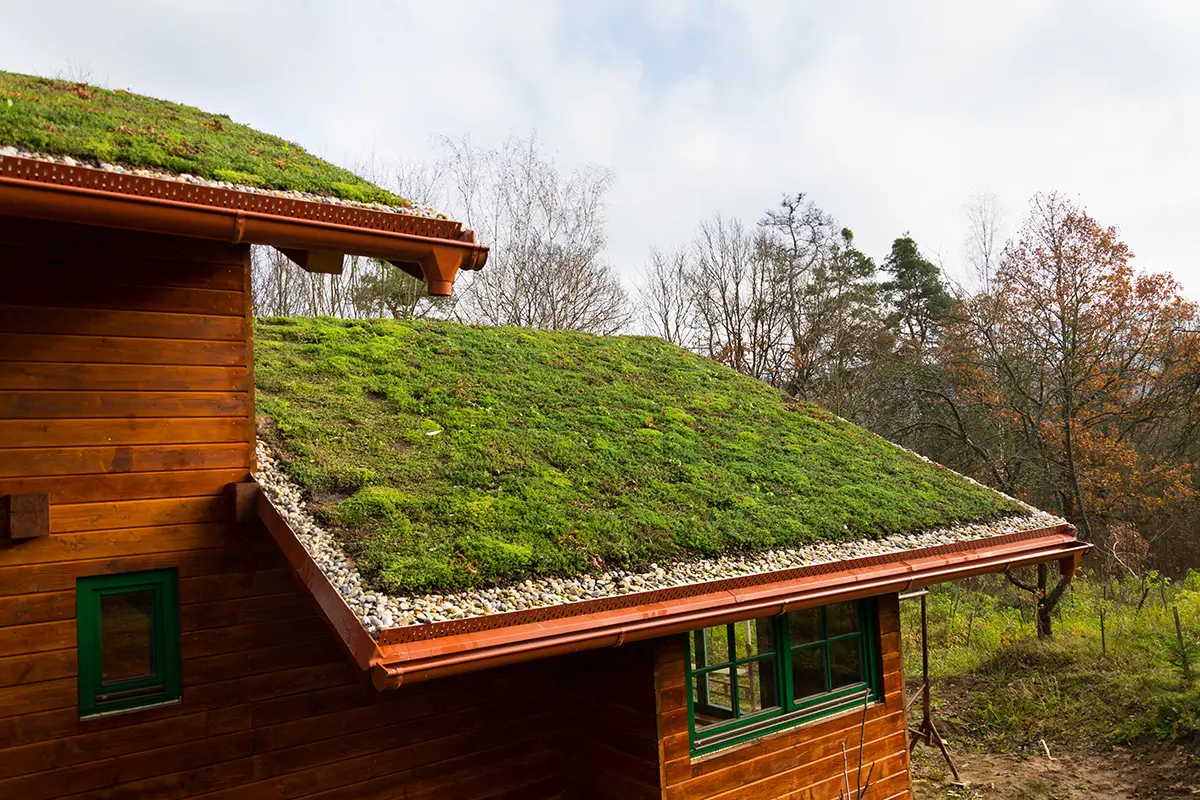 residential green living roof or green roof