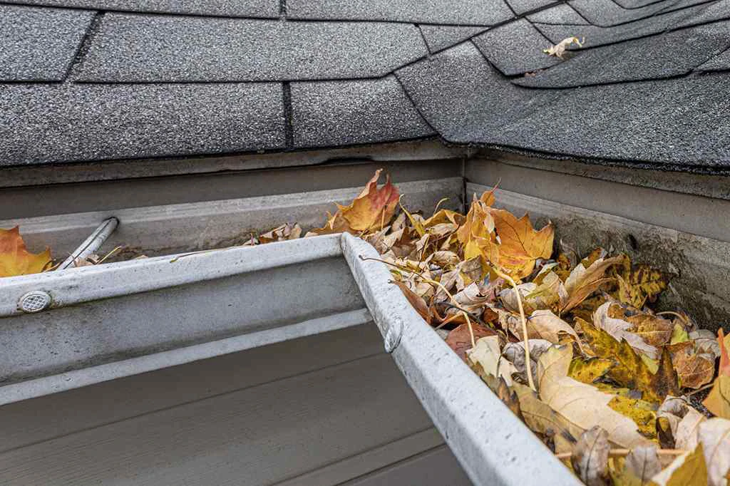 gutters spike ferrules