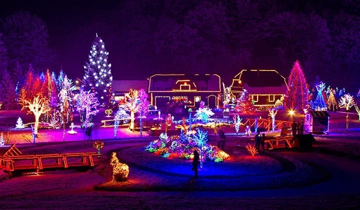 house and yard lit up with purple, blue, red and yellow Xmas lights