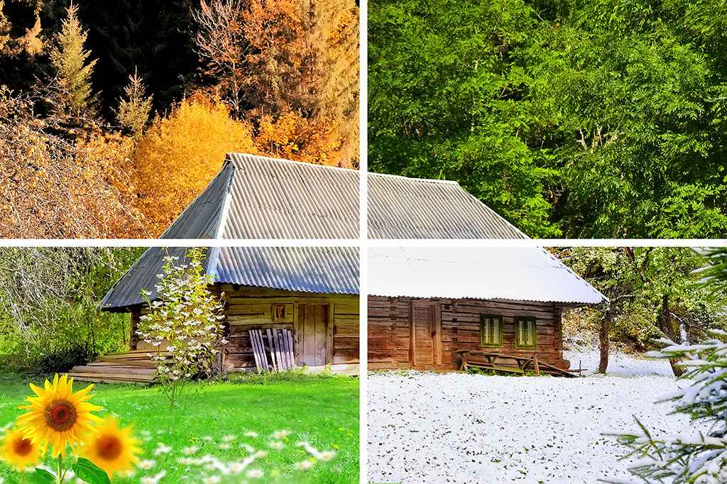 House in all Four Seasons