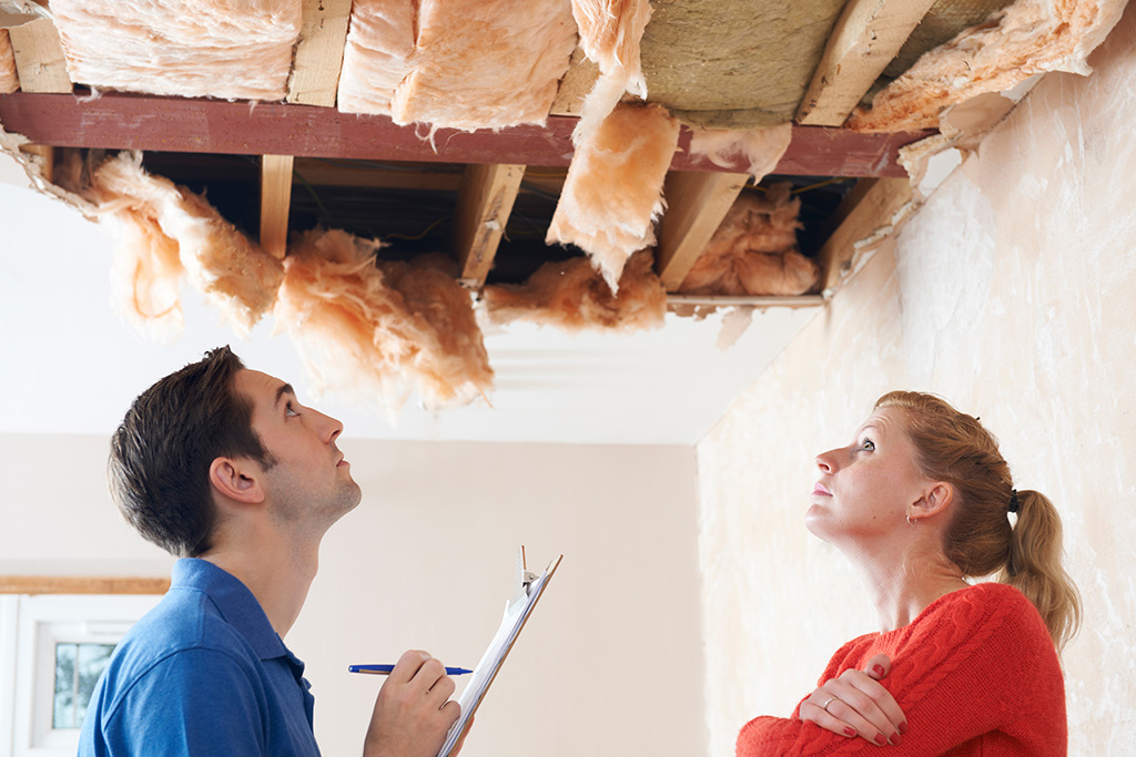 couple looking at damaged roof