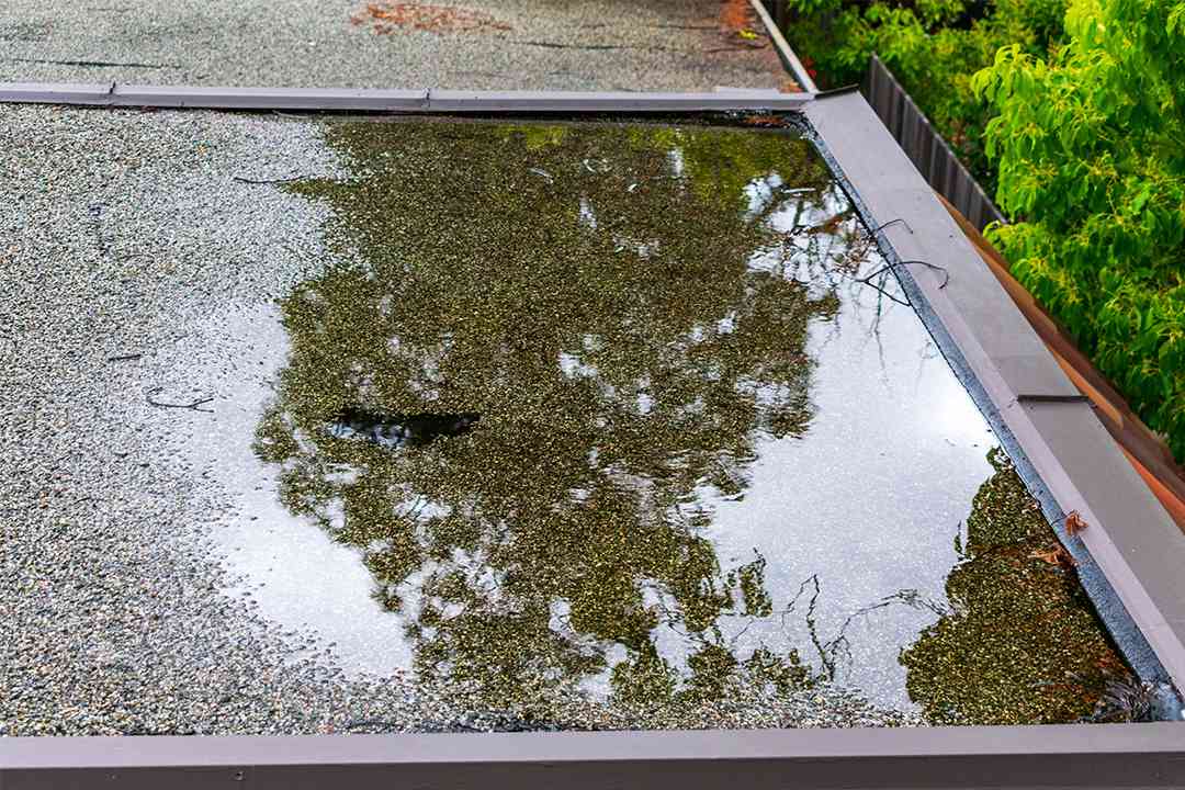 ponding water on residential flat roof