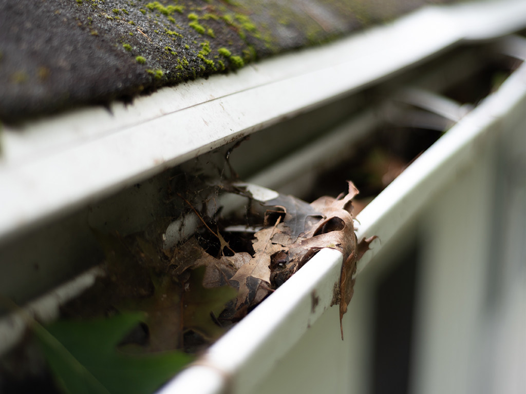 Roof gutters with leaves