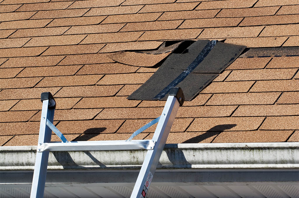 asphalt roof shingle blown off requiring replacement