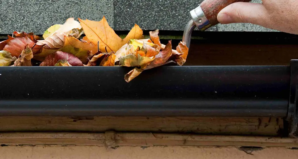 scooping leaves from gutter with trowel