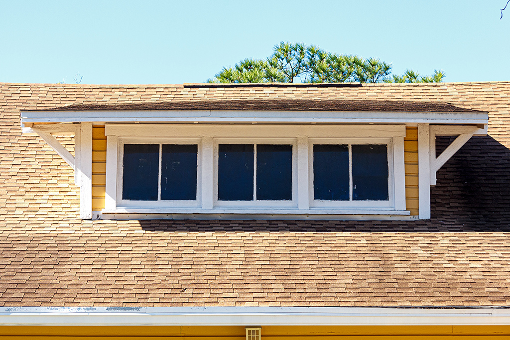 Shed Dormer