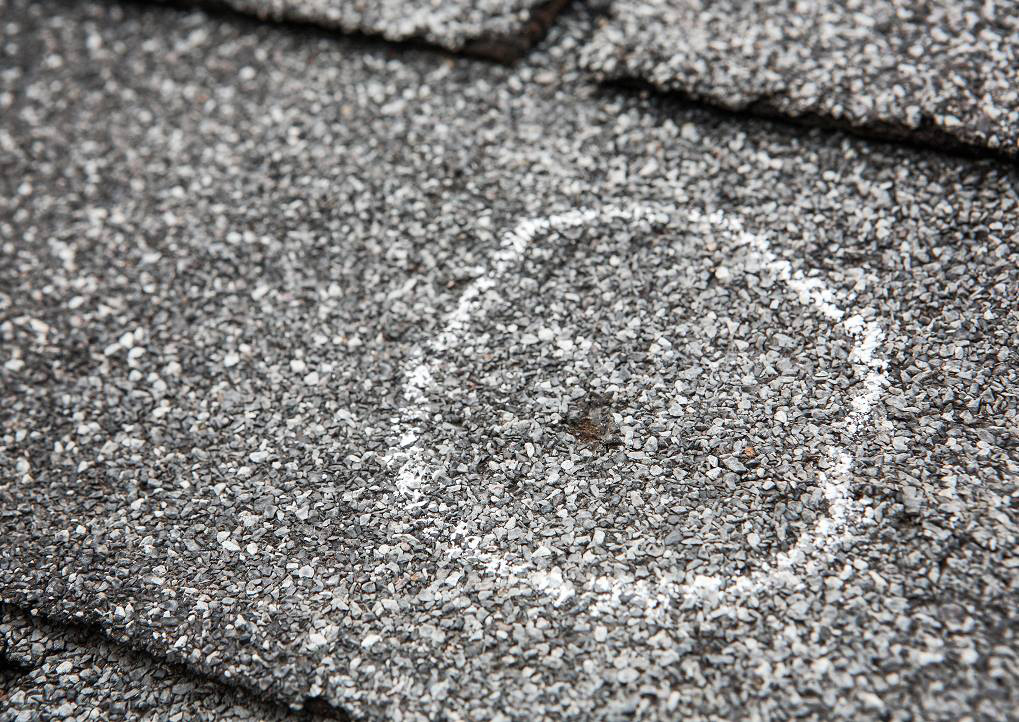 hail damage to roof shingle after hailstorm