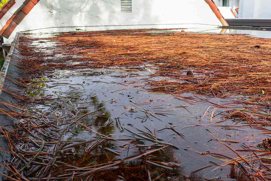water pooling on residential flat roof