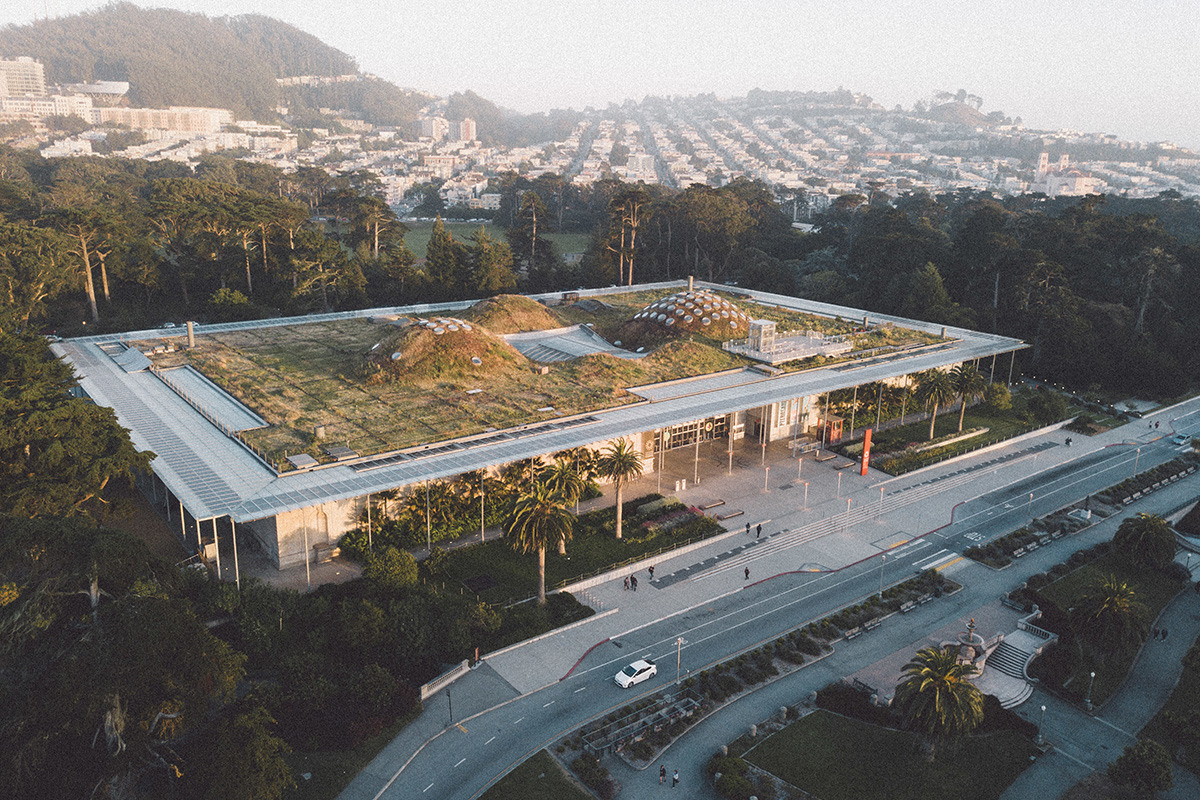 green roof of the California Academy of Sciences in San Francisco, California