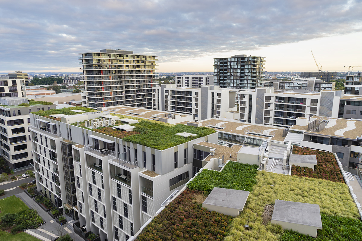 apartment buildings with green rooftops